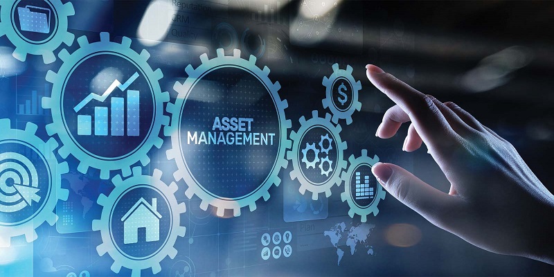 Asset Management Market - Analysis & Consulting (2019-2025)